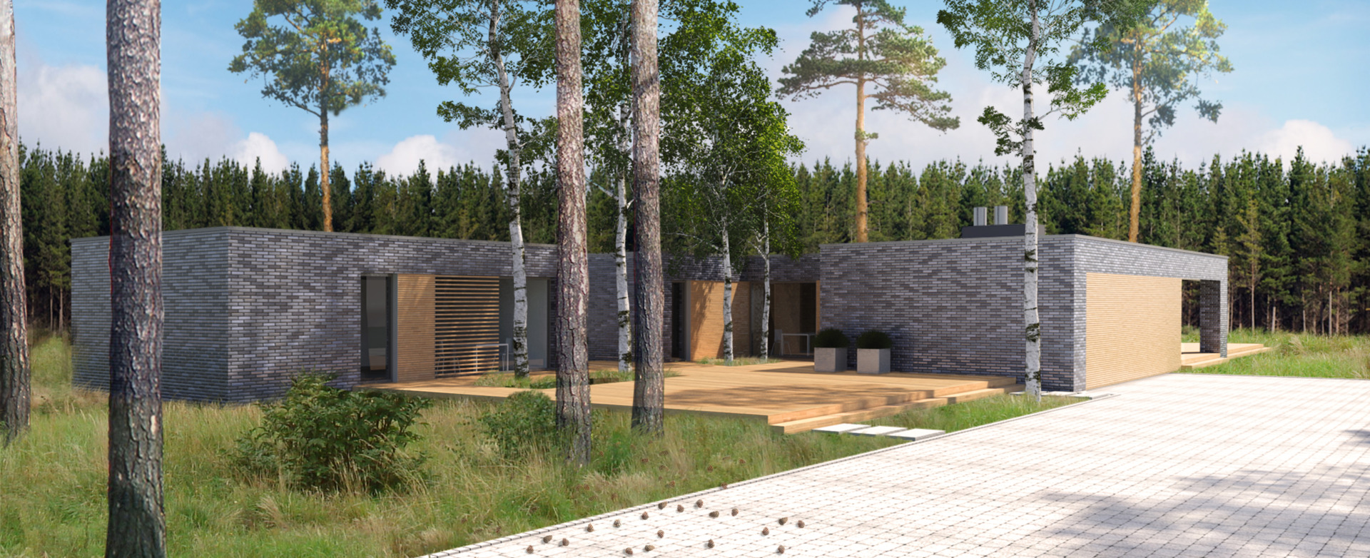 Nowoczesny dom jednorodzinny, Czarże – projekt Mazur Architekci